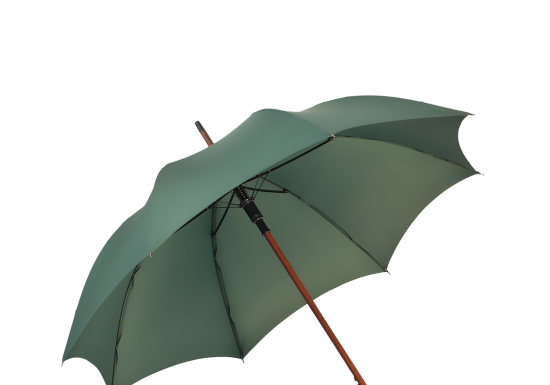 Jaki męski parasol kupić?