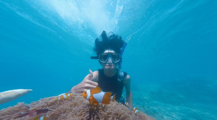 Fajka do snorkelingu